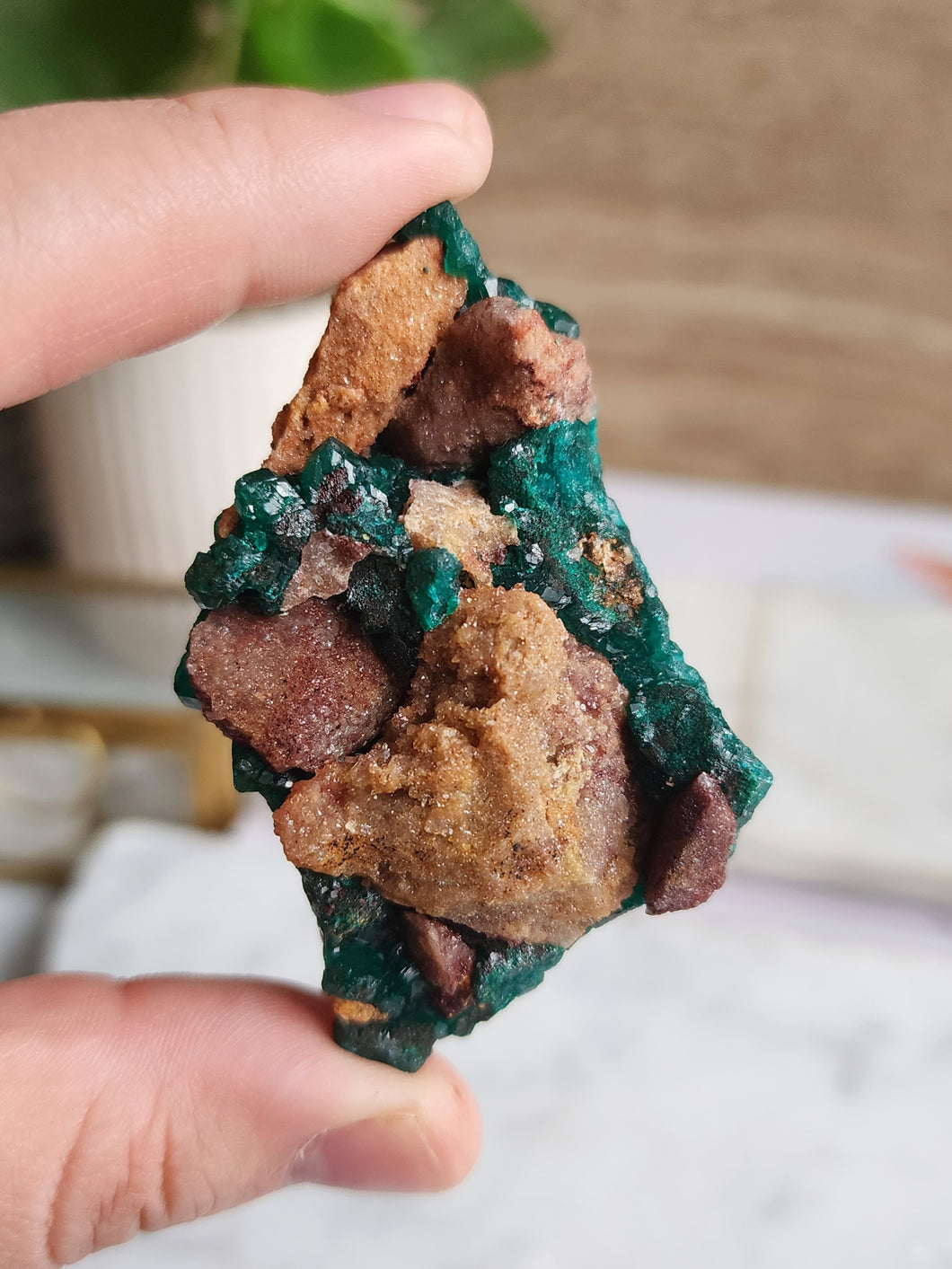 Experience the allure of Dioptase, a mesmerizing mineral prized for its stunning green hue and profound spiritual properties. Rare and uniquely structured, it fosters emotional healing and inner growth, bringing harmony and renewal