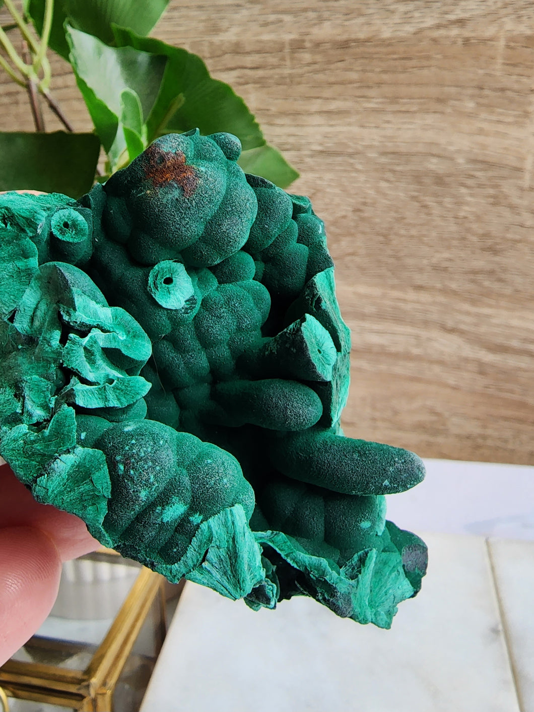 Malachite, a vibrant green copper mineral, is prized for its beauty and spiritual benefits. Known for supporting transformation, it clears negative energy, enhances intuition, and fosters emotional healing, making it perfect for those facing life changes.