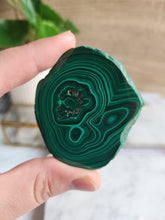 Load image into Gallery viewer, Malachite is a powerful crystal that shields your energy and promotes spiritual growth. Its signature green bands are more than beautiful—they represent the layers of personal transformation. Use Malachite to boost your manifestation efforts and stay grounded
