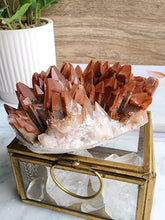 Load image into Gallery viewer, Red calcite, a vibrant carbonate mineral, is known for its energizing and stabilizing effects. It boosts motivation, drive, and emotional healing, making it a prized stone for enhancing personal empowerment and vitality.
