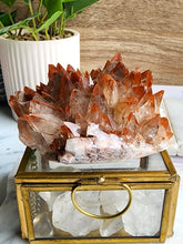 Load image into Gallery viewer, Red calcite, a dynamic carbonate mineral, is celebrated for its energizing and stabilizing qualities. It enhances motivation and emotional healing, making it a valued stone for boosting personal empowerment and vitality
