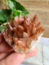 Load image into Gallery viewer, Red calcite, a vibrant carbonate mineral, is known for its energizing and stabilizing effects. It boosts motivation, drive, and emotional healing, making it a prized stone for enhancing personal empowerment and vitality.
